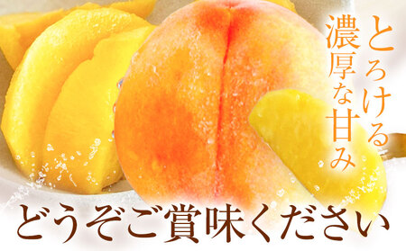 黄金桃 約2kg  花田青果株式会社 桃