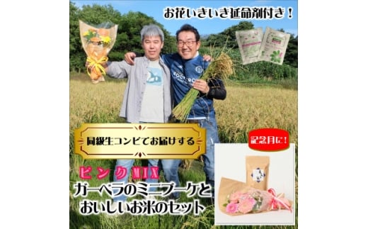 5月発送!同級生コンビでお届けするガーベラピンクブーケとおいしいお米のセット・お花長持ち栄養剤付き!【1708225】