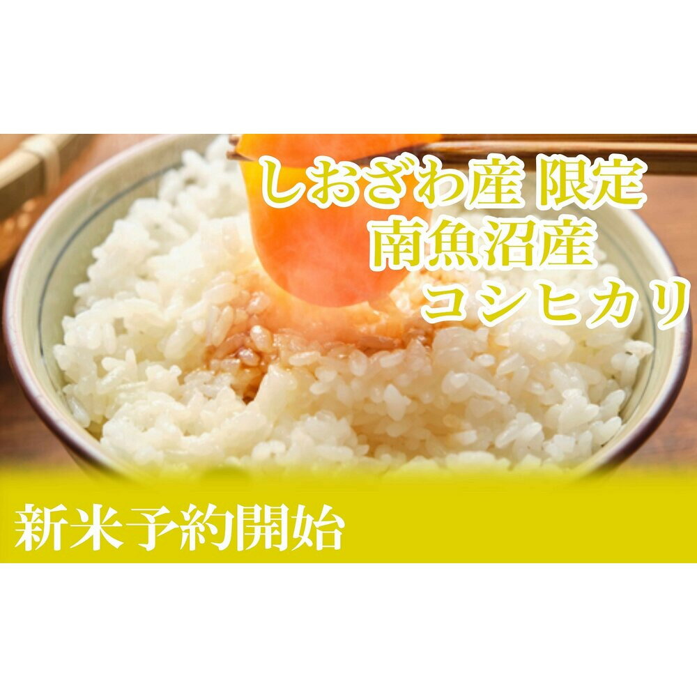【ふるさと納税】【令和8年産　新米予約】定期便3ヶ月：精米10kgしおざわ産限定 南魚沼産コシヒカリ【2026年10月上旬から1ヶ月以内に順次発送予定】 | お米 こめ 白米 コシヒカリ 食品 人気 おすすめ 送料無料 魚沼 南魚沼 南魚沼市 新潟県産