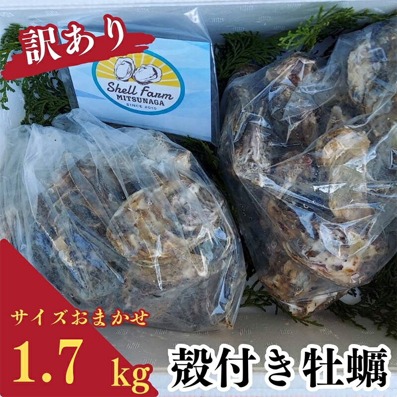 【ふるさと納税】 先行予約 牡蠣 ( 殻付 ) 冷蔵 訳あり牡蠣 1.7kg 【2025年12月中旬より発送】 かき 加熱用 殻付き 料理 カキフライ オイスター おつまみ 弁当 おかず 惣菜 グラタン BBQ バーベキュー ごはん 魚介 海鮮 牡蠣鍋 伊勢 志摩 三重県 南伊勢町 10000円 以下 1万円
