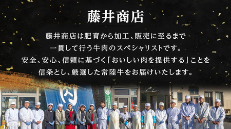 【 常陸牛 】 ヒレ ステーキ 250g × 6枚 (合計 1.5kg )（茨城県共通返礼品） 茨城県産 牛ヒレ肉 牛肉 ヒレ 牛ヒレ ステーキ 常陸牛 藤井商店