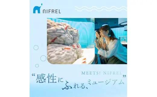 【3カ月ごとお届け】ニフレル入館券 大人2枚 全4回 