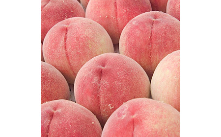 2026年発送 山梨市産 訳あり桃 約2kg(4～8玉)【配送不可地域：離島】【1688049】