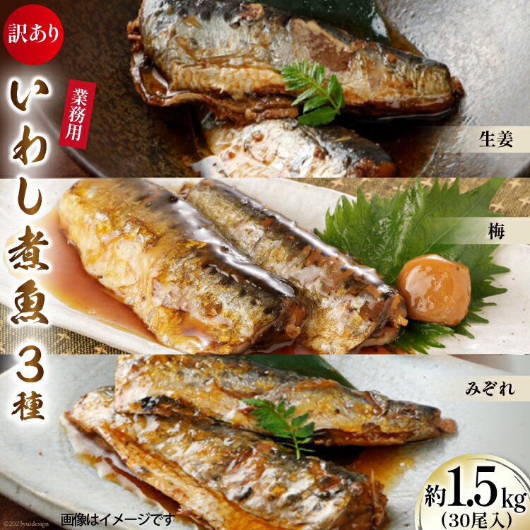 【ふるさと納税】訳あり 業務用 いわし煮魚 3種 ×10尾 計30尾入 約1.5kg 簡易包装 [カネダイ 宮城県 気仙沼市 20565562] 魚 魚介 煮魚 国産 生姜煮 梅肉煮 みぞれ煮 おかず 焼き魚 簡単 時短 訳アリ 冷凍 感想