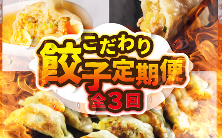 こだわり餃子定期便 全3回 定期便 餃子 ぎょうざ ギョウザ おつまみ 晩酌 毎日の食事に 白米によくあう お弁当 おかず 総菜 大容量 訳あり どうまい 愛知県 豊橋市 送料無料 3万円 焼き方レシピあり