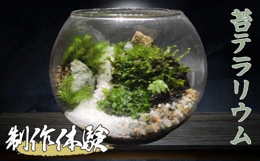 
苔テラリウム制作体験（体験チケット）　　ワークショップ 　　 初心者 　 　作り方　　体験　　土
