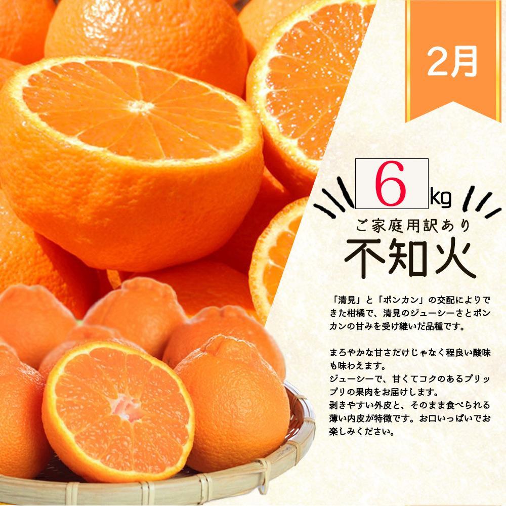 【1・2・3・4月 全4回 定期便】紀州和歌山産旬のご家庭用柑橘セット(みかん・不知火・せとか・清見)【UT130】