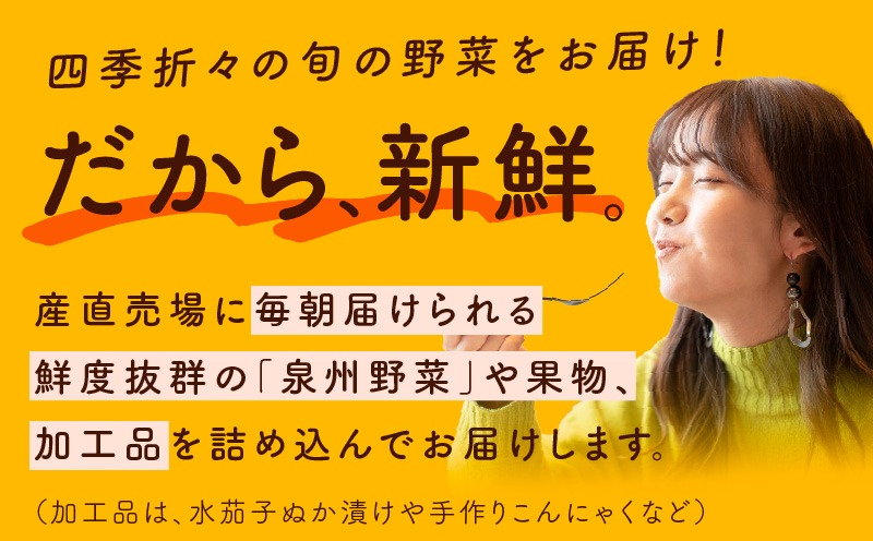 099H4172 旬の野菜セット 詰め合わせ 5種類 国産 新鮮 お試し おまかせ お楽しみ