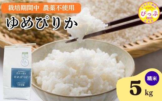 令和7年産 新米 ゆめぴりか 精米 5kg【今野農園】無農薬栽培 農薬不使用 化学肥料不使用 米 お米 北海道米 特Aランク 国産 コメ 2025年産 北海道 比布町 ぴっぷ 1012-004