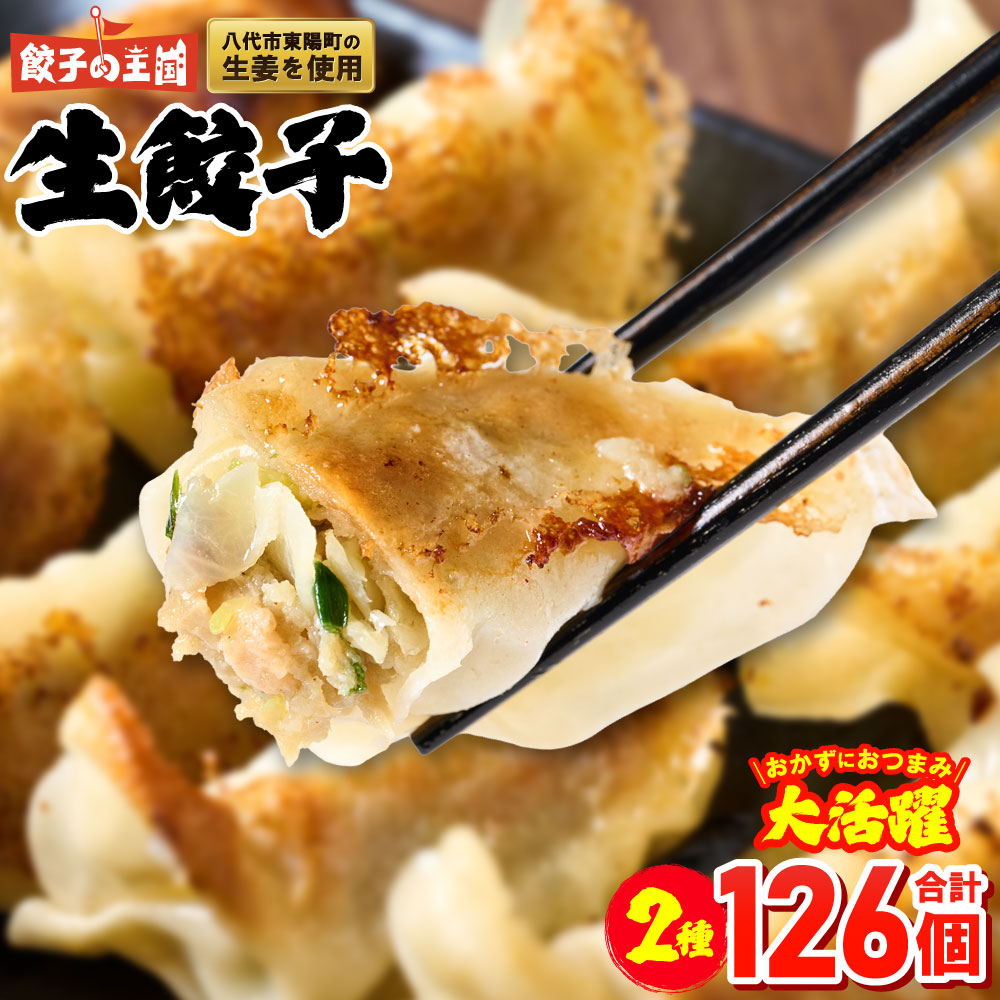 【順次発送】餃子の王国 人気生餃子 126個 八代市東陽町の生姜を使った餃子 餃子 生餃子 ぎょうざ ギョウザ