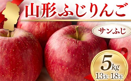〈先行予約2026年発送〉山形ふじりんご 5kg サンふじ 13玉～18玉  りんご リンゴ 林檎 デザート フルーツ 果物 くだもの 果実 食品 山形県 FSY-2593