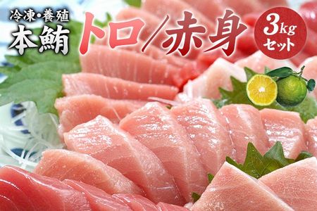 マグロ まぐろ 本マグロ（養殖）トロ＆赤身 セット 3kg 【1カ月以内に発送】 / まぐろ マグロ まぐろ マグロ まぐろ マグロ まぐろ マグロ まぐろ マグロ まぐろ マグロ まぐろ マグロ まぐろ マグロ まぐろ マグロ まぐろ マグロ まぐろ マグロ まぐろ マグロ まぐろ マグロ まぐろ マグロ まぐろ マグロ まぐろ マグロ まぐろ マグロ まぐろ マグロ まぐろ マグロ まぐろ マグロ まぐろ マグロ まぐろ マグロ まぐろ マグロ まぐろ マグロ まぐろ マグロ まぐろ マグロ まぐろ マ