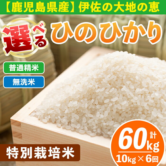 【ふるさと納税】【定期便6回】 選べる精米方法！令和7年産 鹿児島県伊佐産 特別栽培ひのひかり(計60kg・10kg×6ヵ月) 国産 白米 精米 無洗米 伊佐米 お米 米 生産者 定期便 ヒノヒカリ【Farm-K】