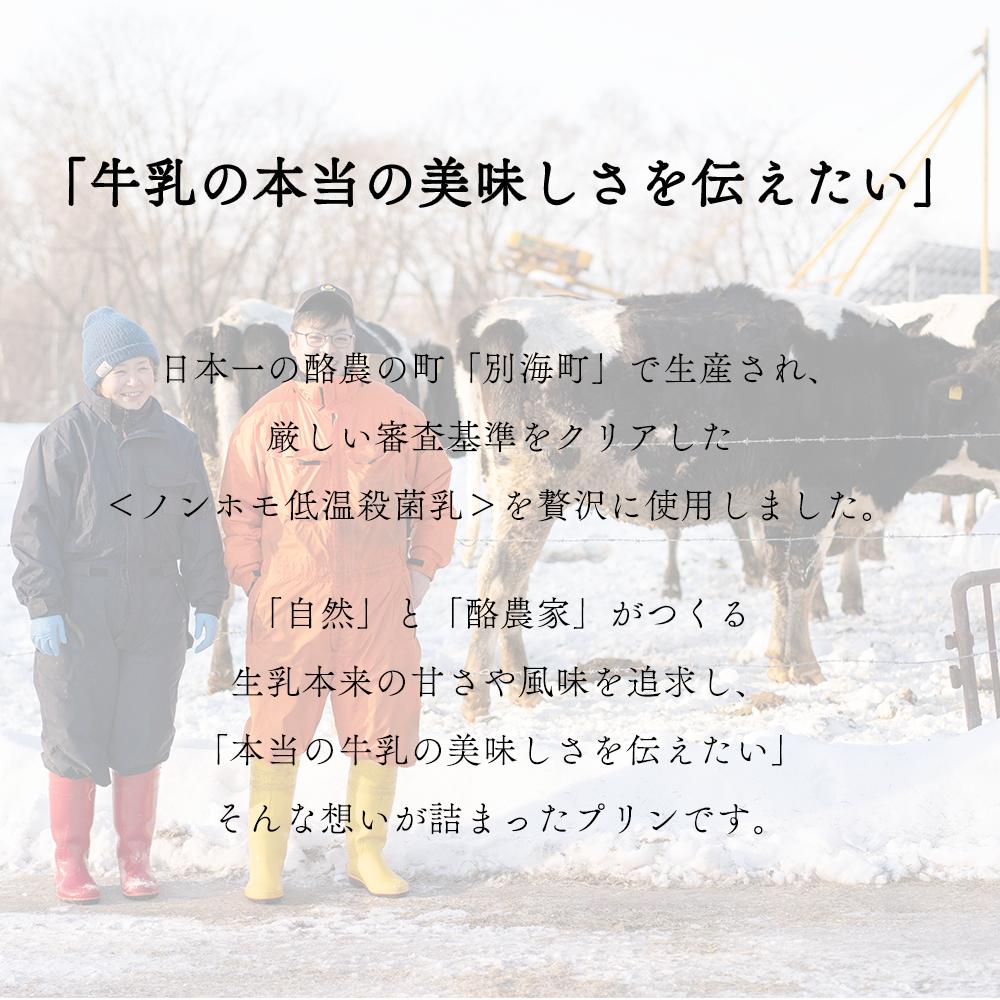 【隔月定期便】濃厚プリン　New Pudding（ニュープディング）（500g×1本）×5回【be152-0931-200-5】
