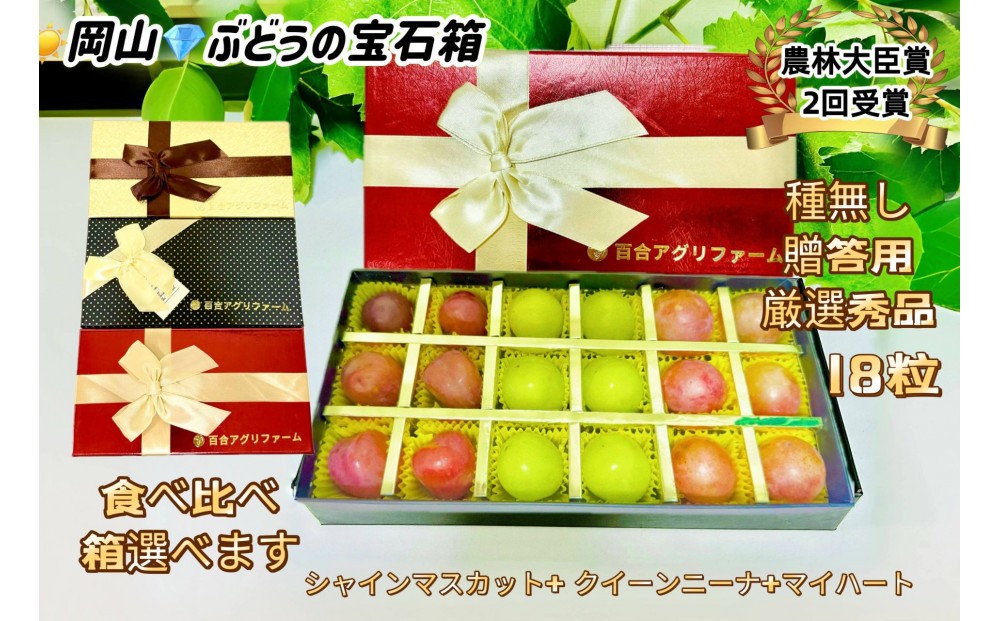 
                  【8月中旬から発送】 2026年 岡山産ぶどう3種 食べ比べ 宝石箱 クイーンニーナ シャインマスカット マイハート 粒だけ18粒 長方形化粧箱 農林大臣賞2回受賞 岡山 果物 フルーツ  数量限定 【箱カラー選択可】
                