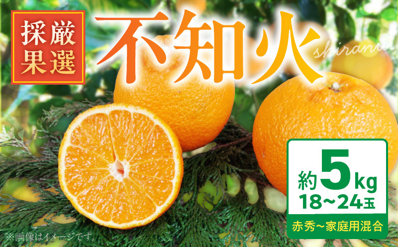 
                  【2026年先行予約】庄助農園の不知火約5kg(18～24玉・厳選採果)_BK6013
                