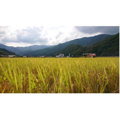 ふるさと納税 吉賀町 【令和7年10月中旬より順次発送】令和7年産コシヒカリ精米5kg(吉賀町産)(吉賀町) |  | 03