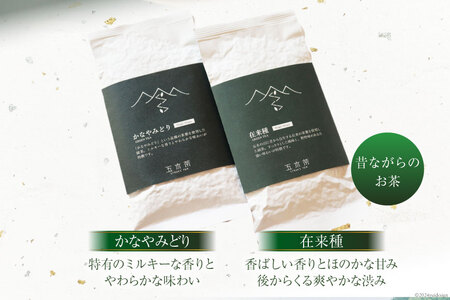 お茶 在来種 + かなやみどり 各90g [松井製茶工場 熊本県 五木村 51120323]