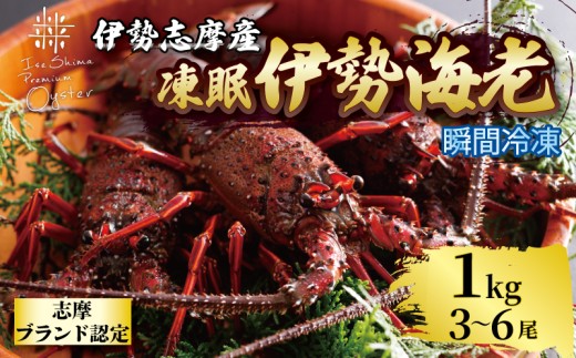 伊勢海老 1kg 3尾 ～ 6尾 冷凍 / 伊勢志摩 伊勢 志摩 三重 伊勢えび 伊勢エビ 新鮮 えび エビ 三重ブランド認定 高級食材 贈答 贈答品 お歳暮 お正月 年末年始 お造り 海鮮 魚介類 旨味 鮮魚 名産 ギフト いせ しま BBQ パーティー 焼き物 お味噌汁 鍋 ボイル 六万円 6万円 60000円