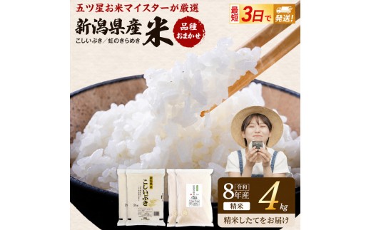 R8年産 新潟県産 品種おまかせ  4kg 新潟県 新潟市産 令和8年産 お米 精米 米 ご飯 送料無料