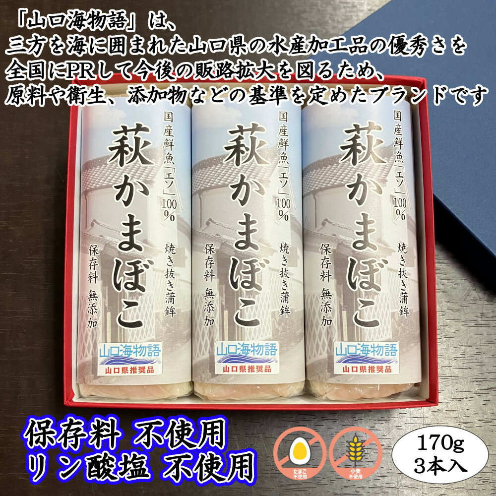 【ふるさと納税】【保存料・リン酸塩 不使用】エソ100％焼き抜き蒲鉾「萩かまぼこ」3本【化粧箱入】