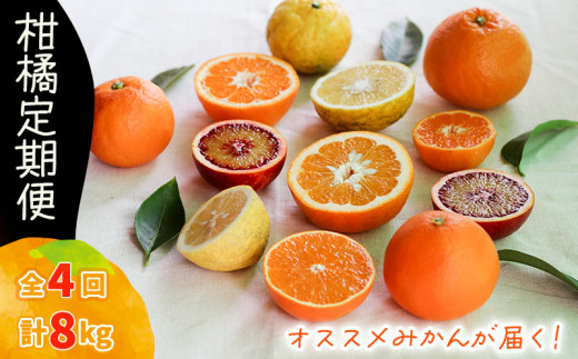 柑橘定期便 【2026年12月下旬頃から順次発送】 2kg × 4回 計8kg  品種おまかせ | 家庭用 みかん 温州 蜜柑 ミカン 果物 フルーツ 定期便 旬 季節限定 数量限定 NPO法人農音 愛媛県 松山市 中島 農音