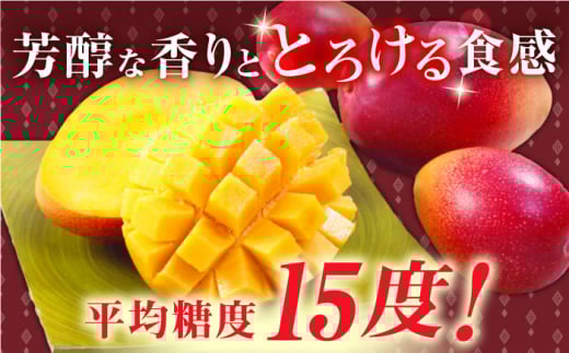 【先行予約】【冷凍】プリンセスマンゴー 約1kg [QAT013] プリンセス マンゴー ぷりんせすまんごー 完熟 マンゴー 高品質マンゴー まんごー 果物 フルーツ マンゴー フルーツ