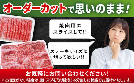厳選佐賀牛ヒレ1本5kg / 有限会社片岡精肉店 [41AEAC013]