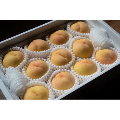 【ふるさと納税】1803.岡山県産「清水白桃」約3kg|2024年7月下旬以降順次発送予定【1516928】