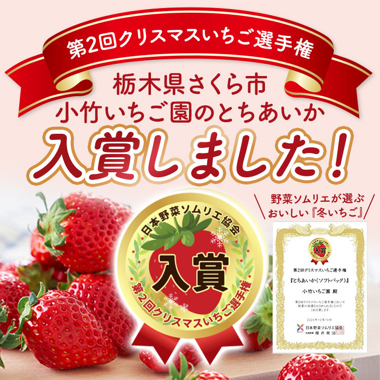 【先行予約】いちご とちあいかセット 270g×2パック（540g以上）｜いちご イチゴ 苺 先行予約 栃木県 果物 くだもの フルーツ とちあいか 新鮮 贈答 ギフト ※2027年1月～発送