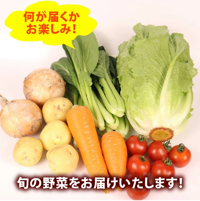 【朝採れ】定期便 6か月 野菜 セット 6~7品目 以上 お野菜 季節 野菜 旬 新鮮 産地直送 詰め合わせ やさい おいしい セット 美味しい たっぷり 丸新柴本製茶 静岡県 牧之原市
