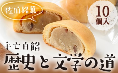 歴史と文学の道 (計10個) 小豆 スイーツ スウィーツ 菓子 焼き菓子 和菓子 おやつ 詰め合わせ セット 個装 大分県 佐伯市【ER009】【(株)古川製菓】