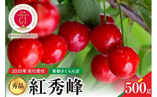 【2025年産　先行予約】紅秀峰 秀品 500g 山形県 東根市　hi004-hi062-040-1