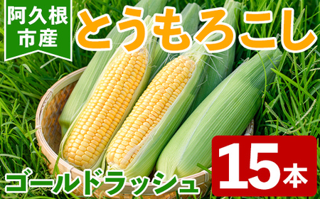 ＜先行予約受付中！2025年6月以降順次発送予定＞とうもろこし ゴールドラッシュ(15本) 国産 旬 野菜 青果 トウモロコシ 期間限定【笹原正樹】akn094-01