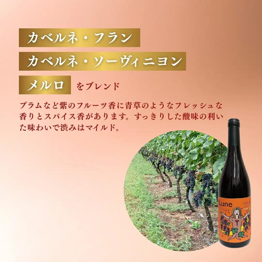 赤ワイン＜リュンヌ＞ 750ml×1本 ｜ 赤ワイン