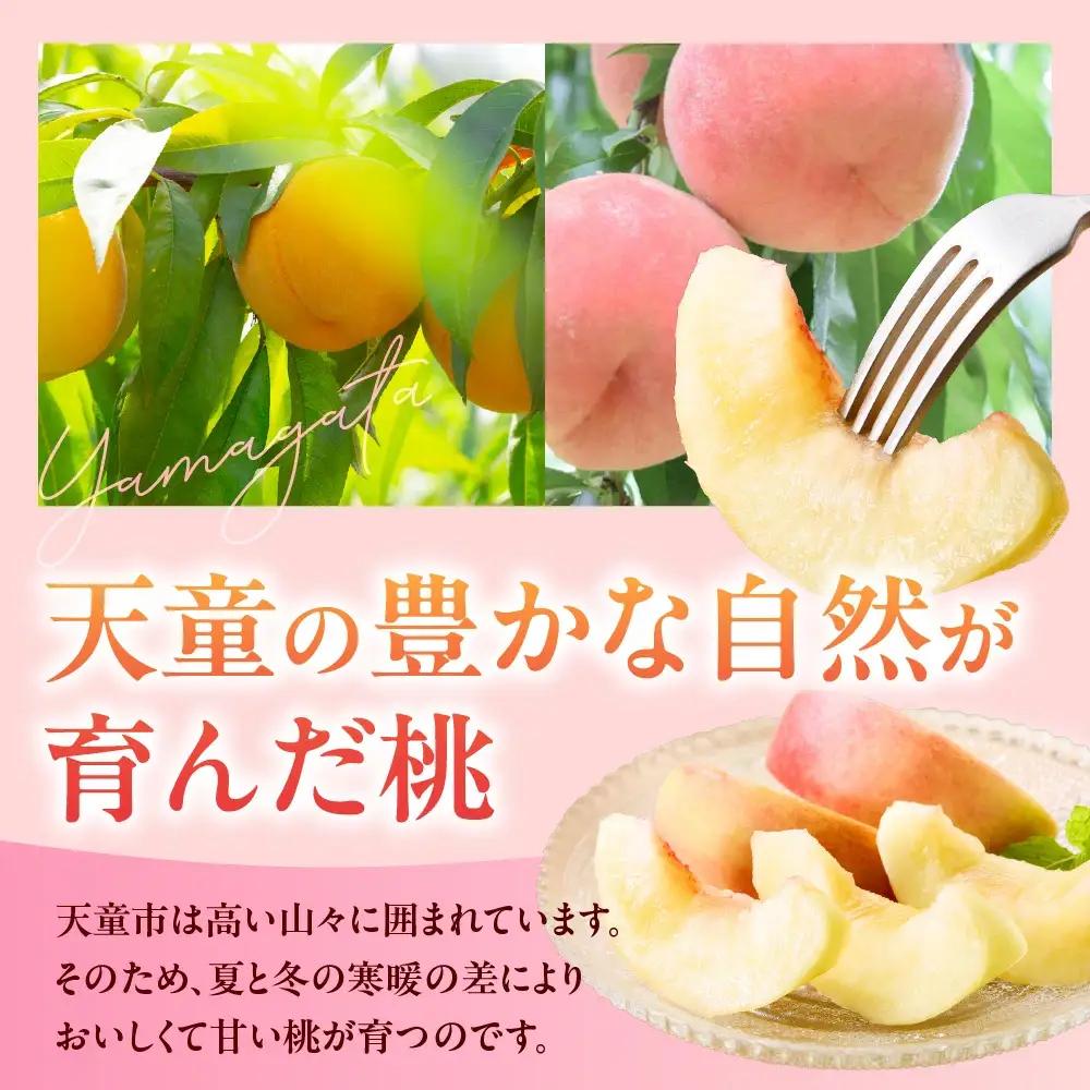 黄桃 ( 品種 おまかせ ) 2kg フルーツ 果物 山形