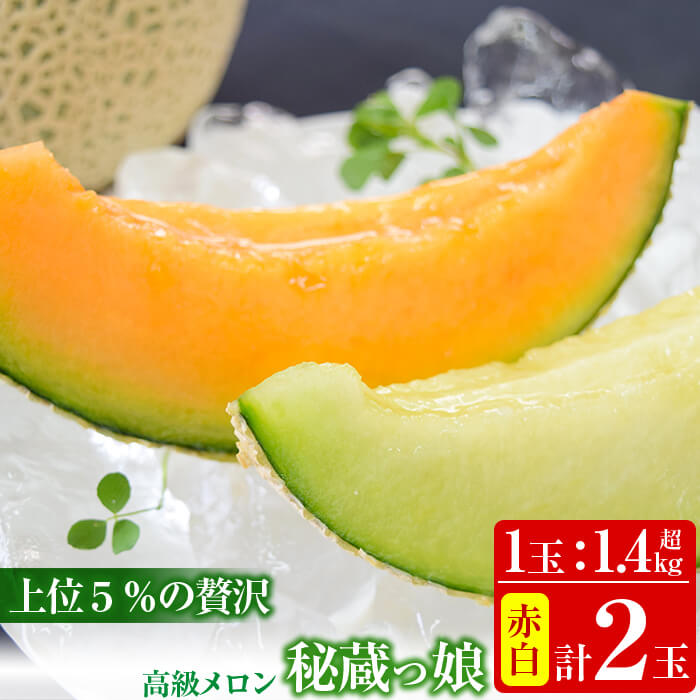 【ふるさと納税】【春限定メロン】＜R7年3月中旬～5月上旬頃発送予定＞極上！鹿児島県志布志産高級メロン『秘蔵っ娘』(赤白各1個、計2個・各1.4kg以上)国産の安心安全、美味しい高級フルーツのマスクメロン2種食べ比べ 【ファームランド牧】b5-033 b5-067