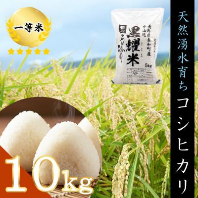 ふるさと納税 長和町 令和7年産 コシヒカリ10kg　軟水「黒耀水」育ち 長野県長和町産 農家直送 一等米精米