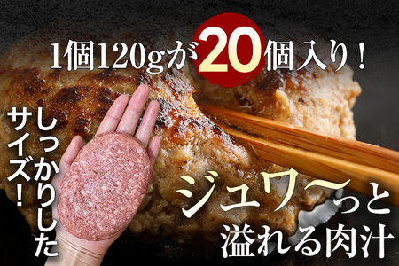 九州産黒毛和牛入り 柔らか牛豚合挽ハンバーグ 120g×20個入
