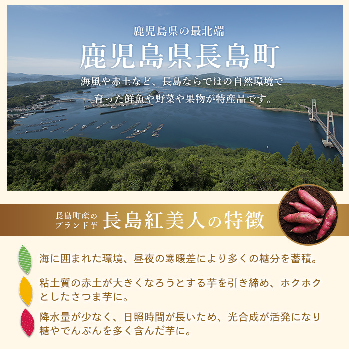 鹿児島県産さつまいも使用 ロイヤルのスイートポテト(9個)  スイートポテト 鹿児島 さつまいも菓子 スイーツ お菓子 おやつ 【ロイヤル】_royal-2961