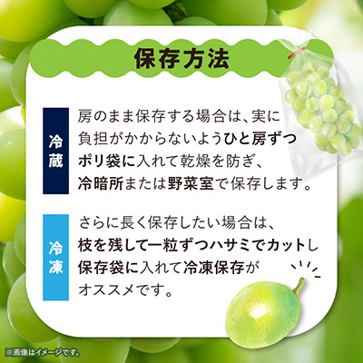 【訳あり】 池田青果のシャインマスカット2房～3房　1kg ふるさと納税【配送不可地域：離島】