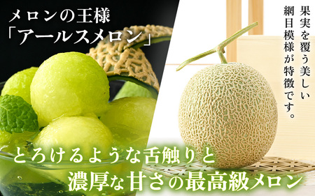 【先行予約】秋 アールスメロン 2玉（約1.6kg以上×2玉）青肉品種 高級メロン！ ／ マスクメロン 大玉 果物 フルーツ ギフト 農家直送 ※2025年9月中旬以降発送  [aw065-a009]
