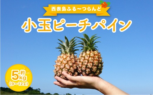 2026年 先行予約 小玉 ピーチパイン 約5kg 9～12玉 ★西表島ふる～つらんど★美味しさギュッと！ 果物 フルーツ パイン
