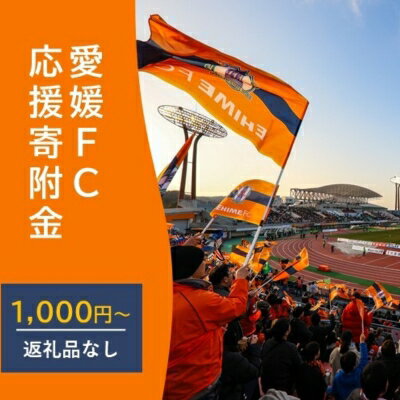 【ふるさと納税】愛媛FCへの支援に活用させていただきます！【返礼品なし】愛媛FCへのご寄付 1,000円
