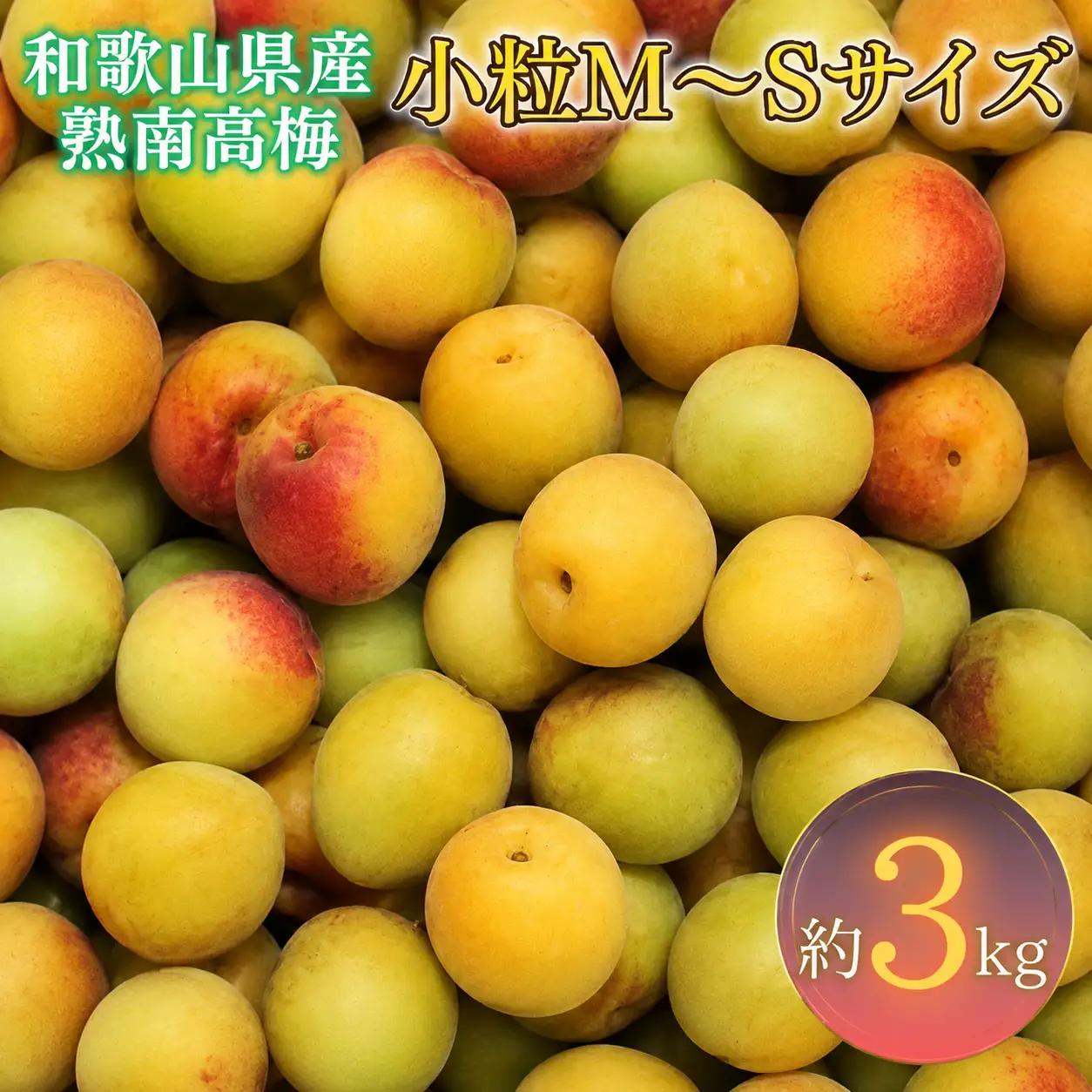 生うめ 約３kg (S、Mサイズおまかせ)+3%増量 優品【梅干・梅酒用】紀州和歌山県産 熟南高梅   ＜2027年6月上旬～7月上旬頃発送予定＞/ 梅干し 梅酒 ウメシロップ ジュース ジャム他 紀州熟南高梅 青梅 黄梅 朝採り フルーツ 果物 くだもの 食品 人気 おすすめ 【G-art043】