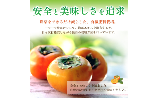 紀州てまり（和歌山県ブランド柿）6～7個入 こだわり農家厳選 先行予約 【2025年10月初旬頃から12月中旬頃順次発送】 / 柿 フルーツ 果物 かき 和歌山 かつらぎ 農家直送 贈答 【kgr02