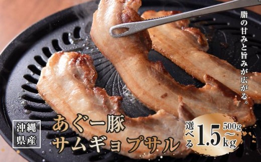 
                  【選べる内容量】沖縄県産あぐー豚サムギョプサル 500g～1.5kg   I  あぐー 豚 サムギョプサル 選べる 500g 1.5kg 豚肉 国産  沖縄県 南城市
                