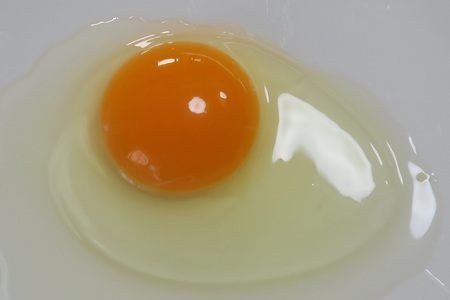 【6回定期便】きれいな水で育てた卵 アローカナ 20個 