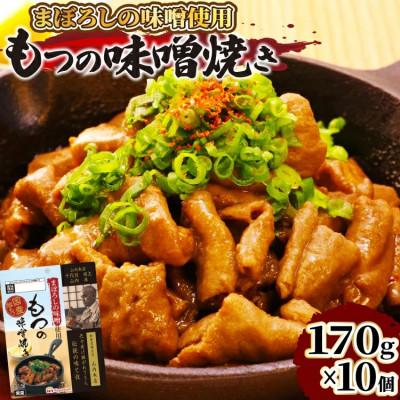 ふるさと納税 日向市 まぼろしの味噌使用もつのみそ焼き 10袋入