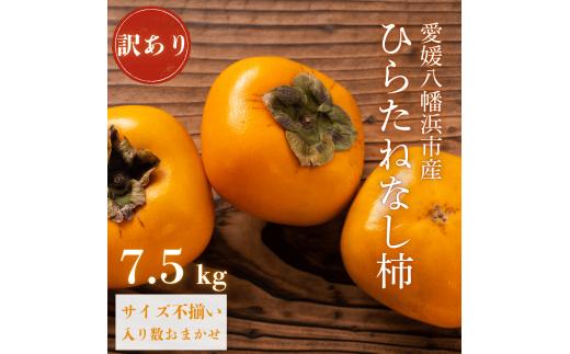 《秋の味覚 種なしで食べやすい》 訳あり ひらたねなし柿 7.5kg＜D20-36＞【1594868】 YWTI031